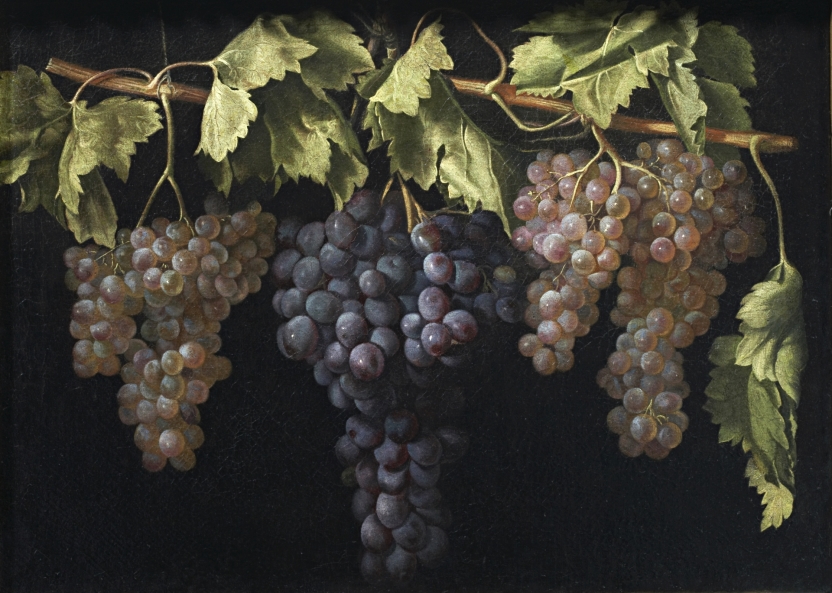 Still Life with four Bunches of Grapes