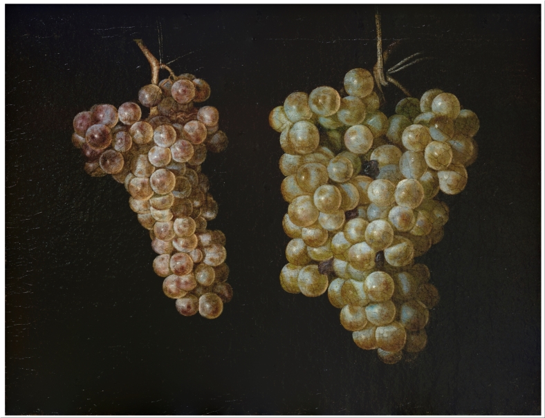 Two Bunches of Grapes