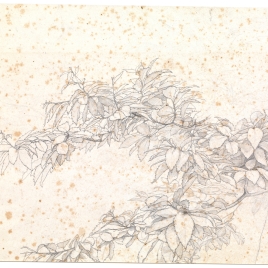 Imagen de la obra