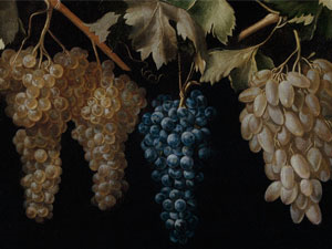 La ruta del vino