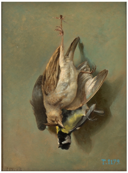Pájaros