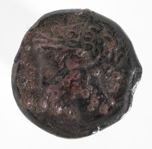 Imagen de la obra: "Cabeza de Ceres / Caballo"