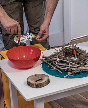 Talleres inspiradores. Sobre arte y escuela. Ecología y sostenibilidad