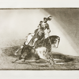 Carlos V lanceando un toro en la plaza de Valladolid