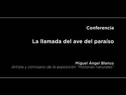 Conferencia: La llamada del ave del paraíso