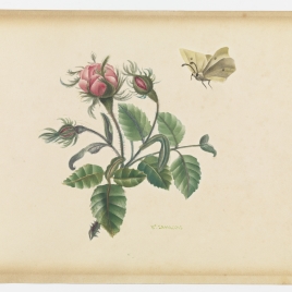 Imagen de la obra