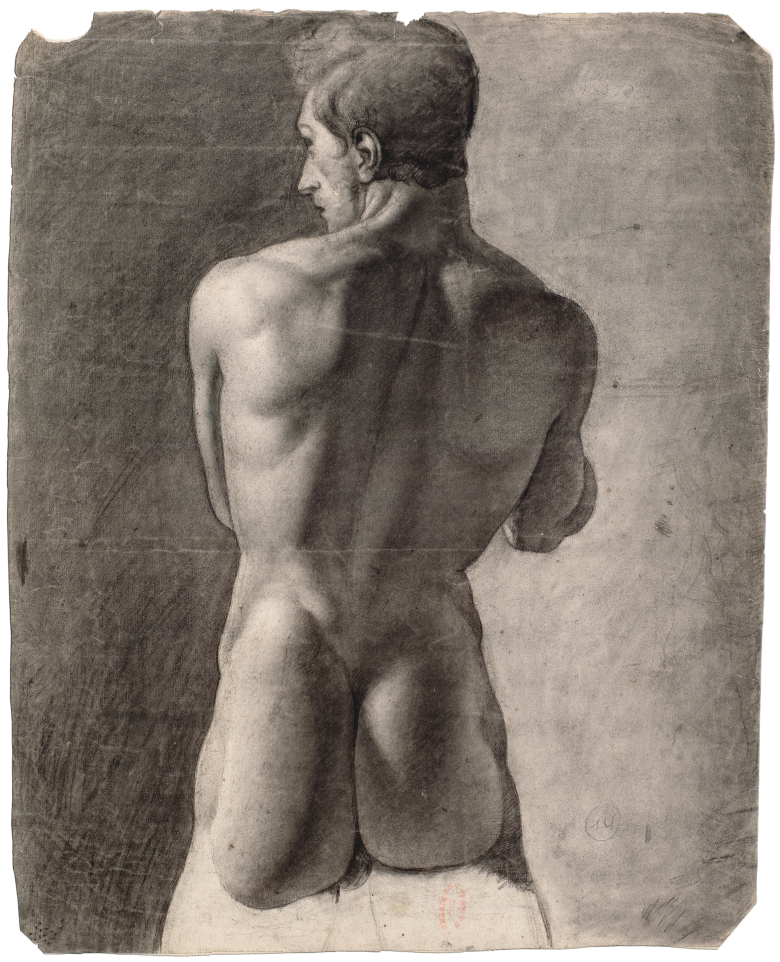 Desnudo masculino de espaldas - Colección - Museo Nacional del Prado