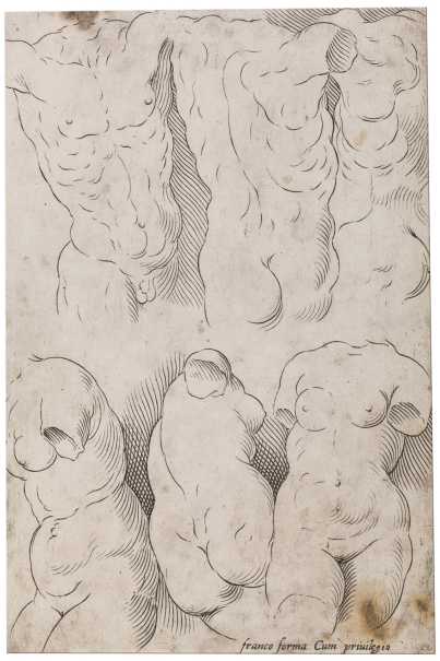 Imagen de la obra: "Modelos de torsos"
