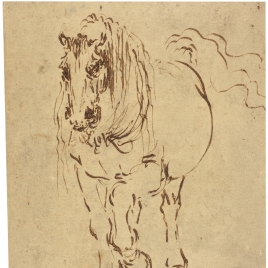 Estudio de caballo