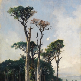 Pinos de Frascati