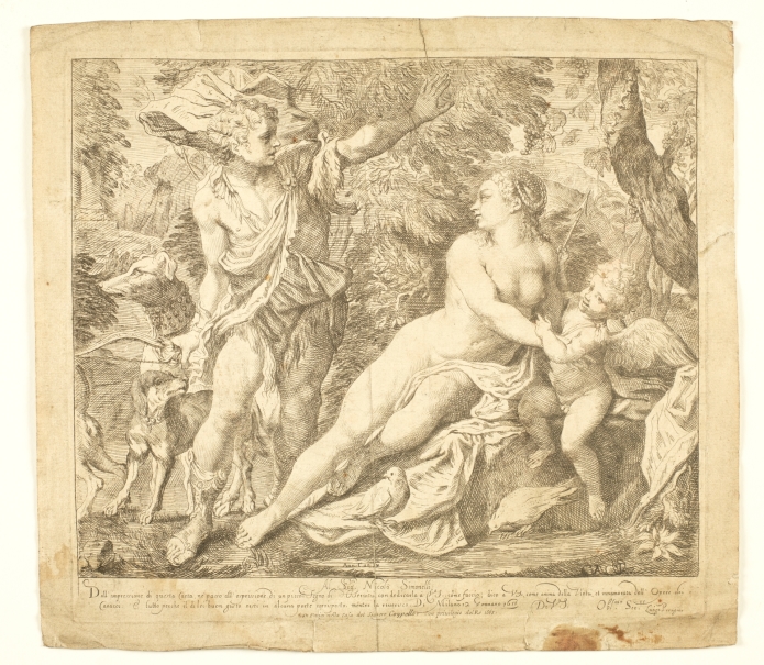 Imagen de la obra: "Venus, Adonis y Cupido"