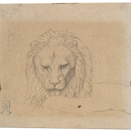 Estudio para la cabeza de un león (Nuestra Señora de Fourvière, Lyon)