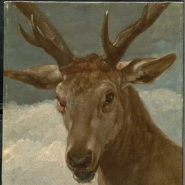 Head of a Deer