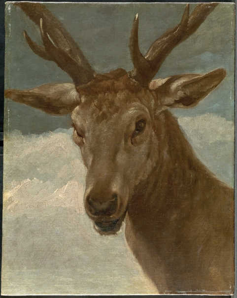 Head of a Deer