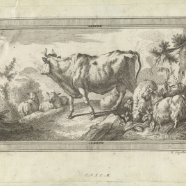 Imagen de la obra