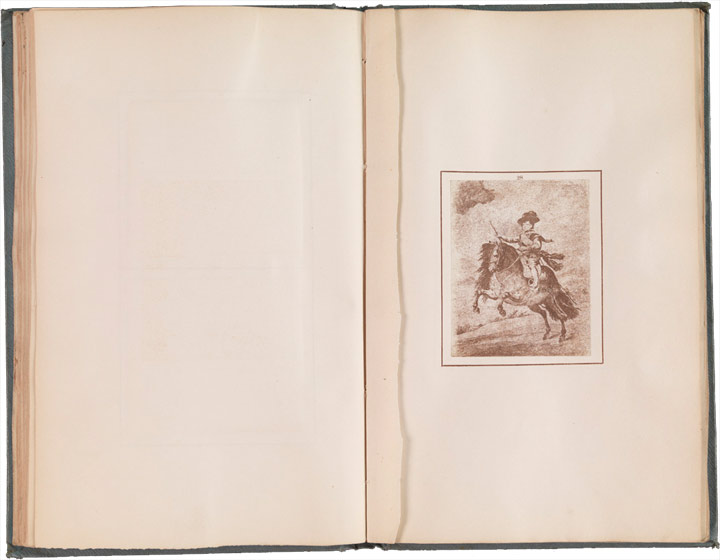 Las ilustraciones de los Annals y los ejemplares de los Talbotypes