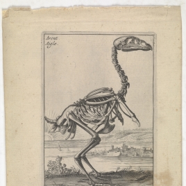 Imagen de la obra