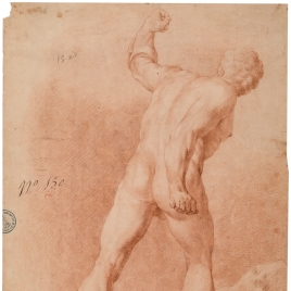 Gladiator