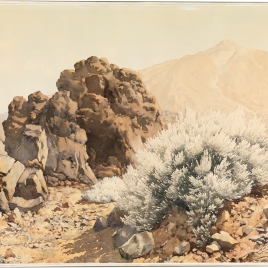 Imagen de la obra