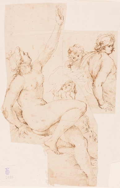 Imagen de la obra: "Dos estudios de figura famenina desnuda con amorcillos"
