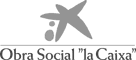 Obra social "La Caixa"
