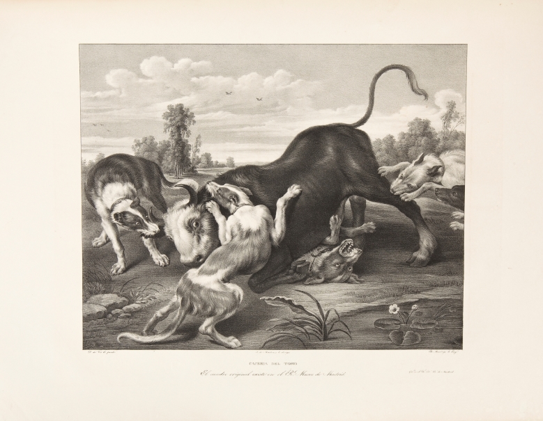 Imagen de la obra: "Toro rendido por perros"