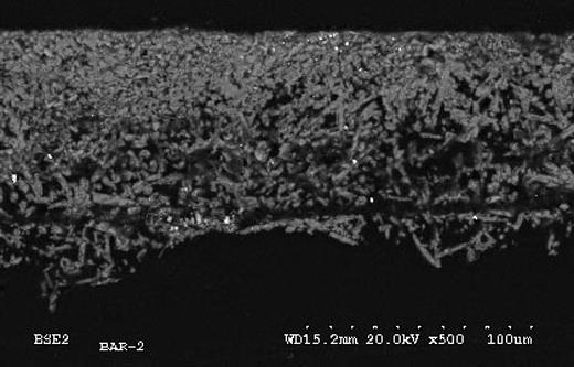 Fig.4: imagen obtenida al microscopio electr&oacute;nico de barrido de una muestra del soporte. Se pueden apreciar dos capas, la superior m&aacute;s compacta que la inferior.