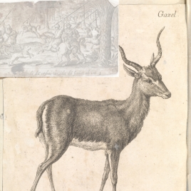 Imagen de la obra