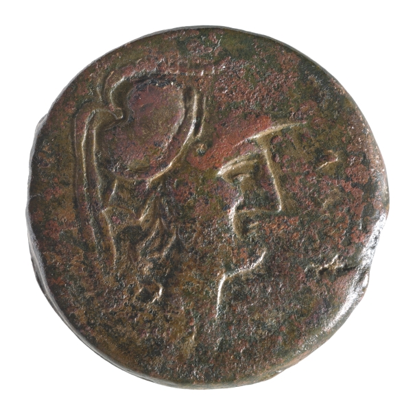 Imagen de la obra: "Cabeza de Palas / Pegaso Crisaor"