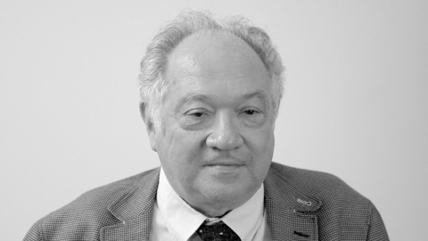 The Parliamentary Pact and the Expansion Project