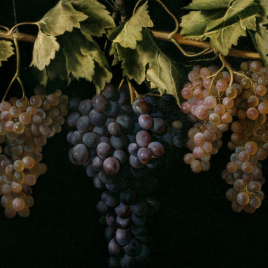La ruta del vino