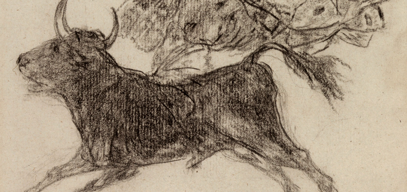 Goya. The Butterfly Bull