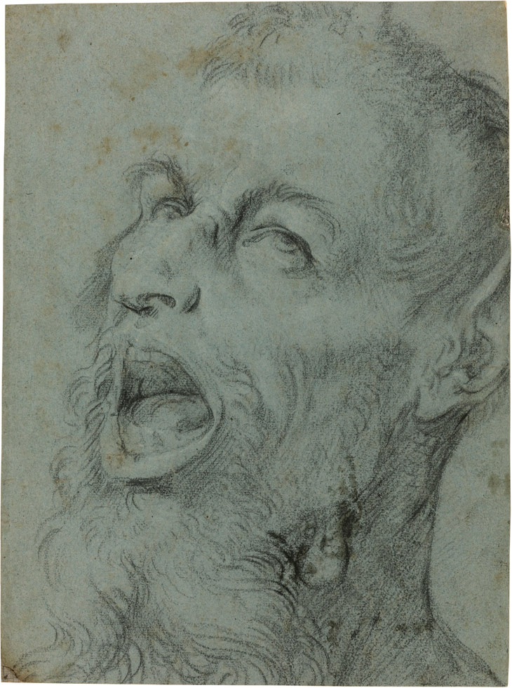 Heads