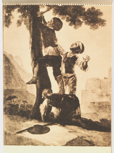 Imagen de la obra: "Los muchachos trepando al árbol"