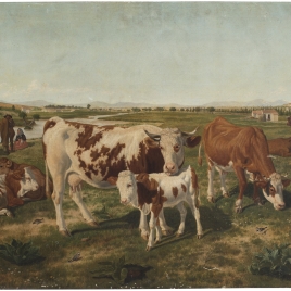 Vacada en la pradera del Manzanares