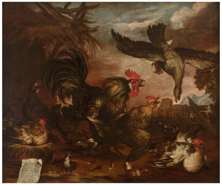 Milano atacando un gallinero