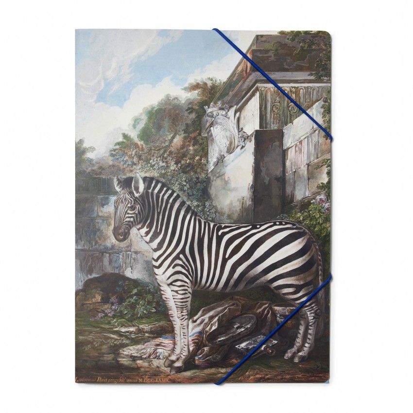 "Zebra" folder