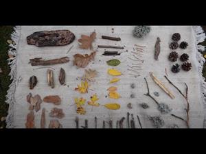 Cómo hacer juntos…. barcos en la naturaleza, con la familia Gelabert. Cápsulas de Conexión