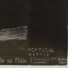 Imagen del carrusel