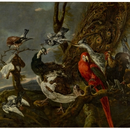 Concierto de aves