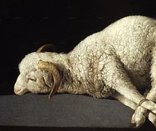 Agnus Dei