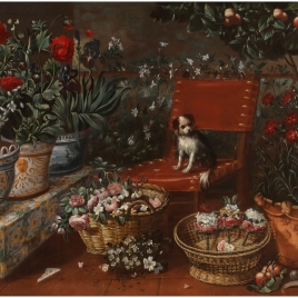Rincón de jardín con perrito