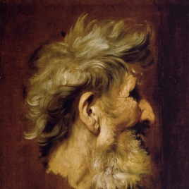 Cabeza de viejo