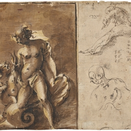 Venus y Cupido y otros estudios y notas / Cuatro estudios de las proporciones de la cabeza humana