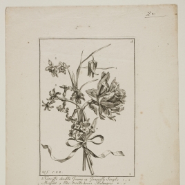 Imagen de la obra