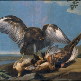 Kite with a Group of dead Birds