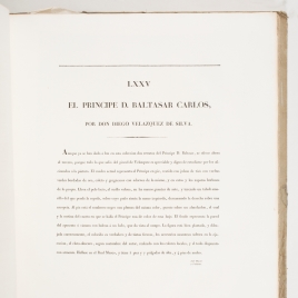 Imagen del carrusel