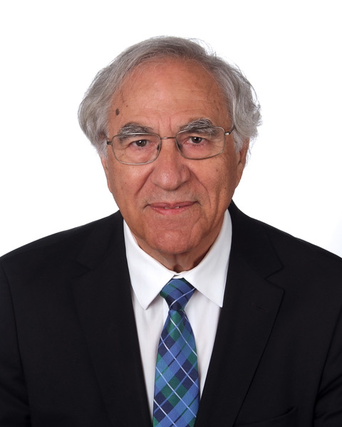Simón Marchán Fiz