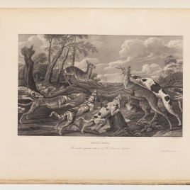 Cacería de corzos