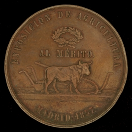 Imagen del carrusel